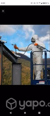 Servicios de PINTOR