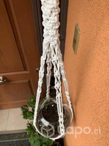 Colgadores de plantas