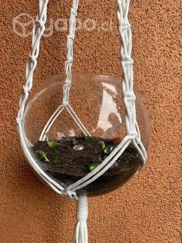 Colgadores de plantas