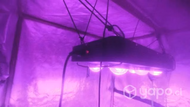 Kit de indoor leed utilizado por solo una cosecha