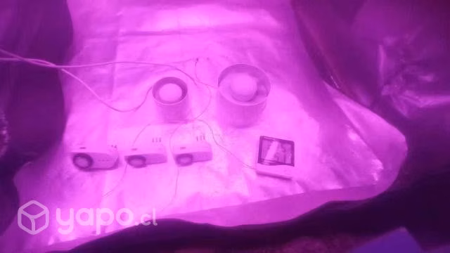 Kit de indoor leed utilizado por solo una cosecha
