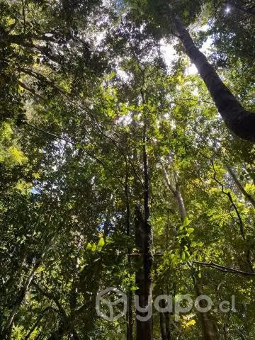 Hornopiren Quildaco Valle 5,5 Hectáreas
