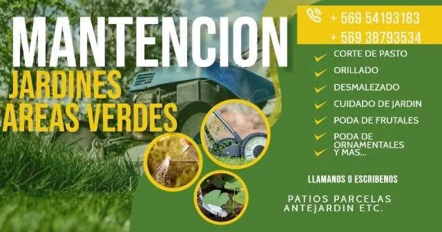 Mantencion de áreas verdes & jardines.