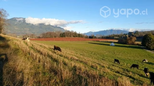 Campo en Panguipulli