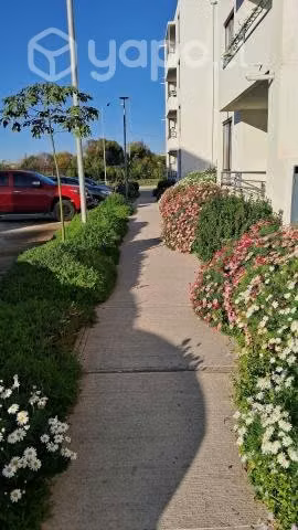 Bello Dpto en La Serena
