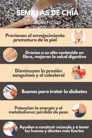 Harina de Chia 1 kilo