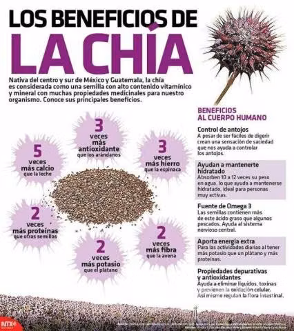 Harina de Chia 1 kilo