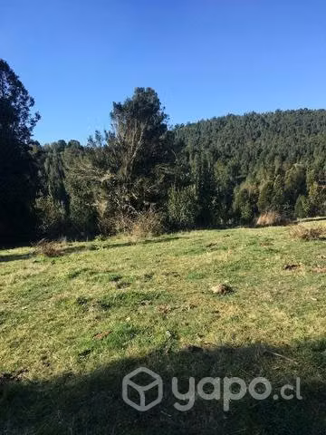 Parcela de agrado