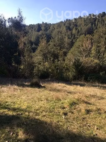 Parcela de agrado