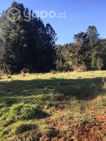 Parcela de agrado