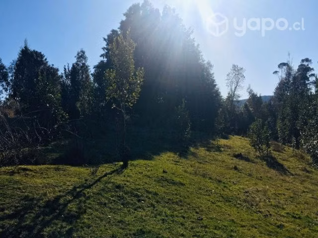 Parcela de agrado