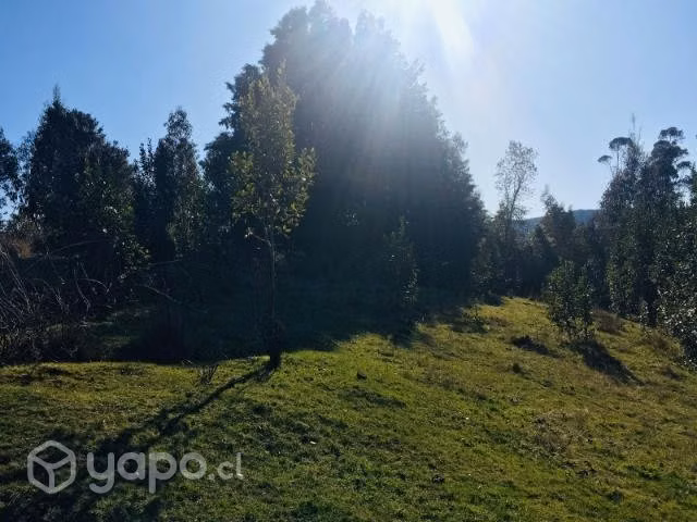Parcela de agrado