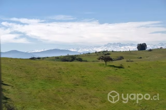 Parcela 10.000 m2, con Agua y Electricidad