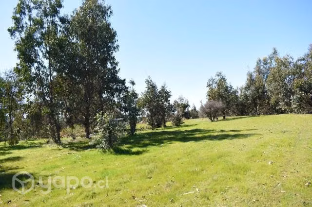 Parcela 10.000 m2, con Agua y Electricidad