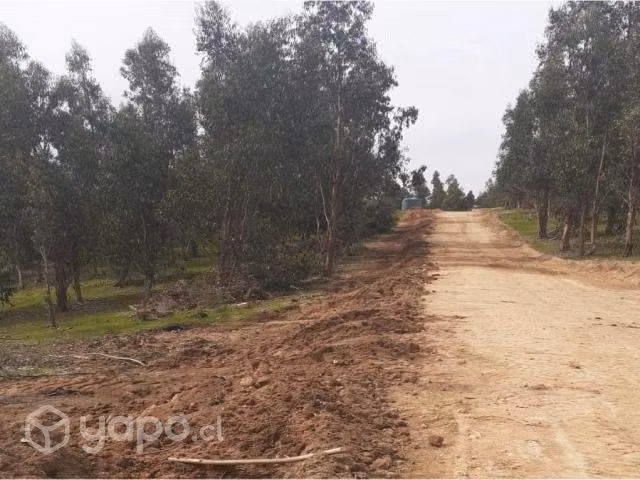 Parcela 10.000 m2, con Agua y Electricidad