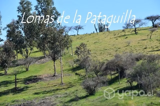 Parcela 10.000 m2, con Agua y Electricidad