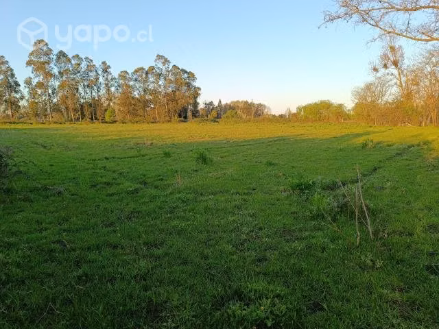 Parcela con casa - Imagen 5