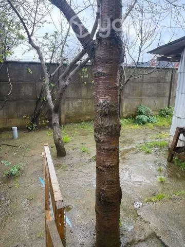 Casa en villa los naranjos - Imagen 9