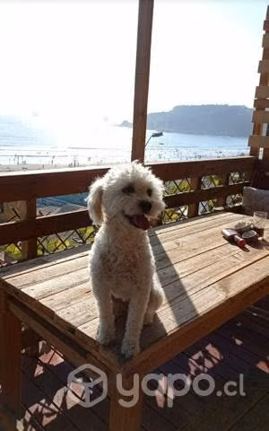 Casa en la playa hermosa vista