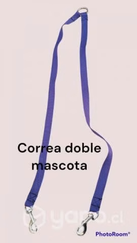 Accesorios para perros - Imagen 2