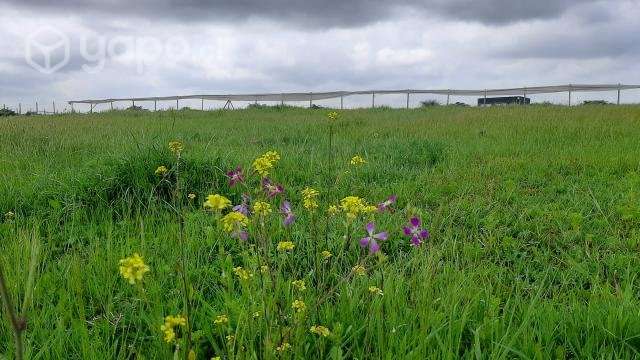 Hermosa parcela aledaña a reserva El Yali - Imagen 2