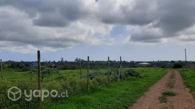 Hermosa parcela aledaña a reserva El Yali