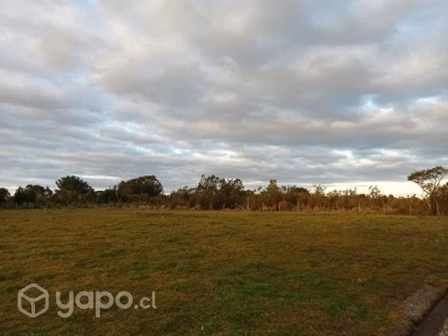 Parcela en ancud - Imagen 2