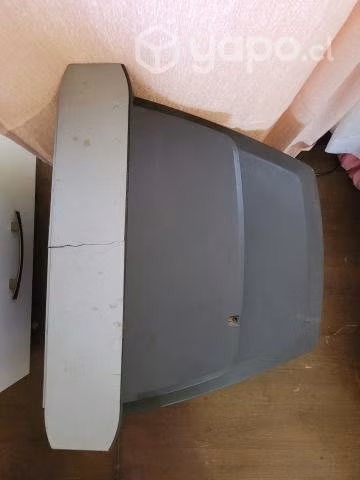 Televisión