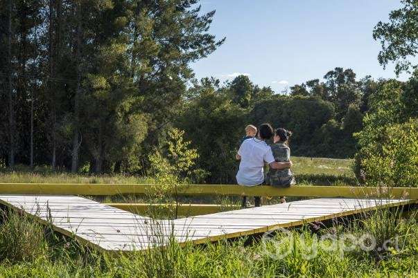 Parcela reserva frutillar con marina y bosque nati - Imagen 2