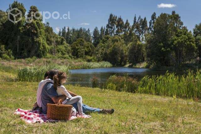 Parcela reserva frutillar con marina y bosque nati - Imagen 3