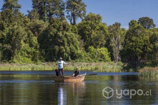 Parcela reserva frutillar con marina y bosque nati - Imagen 11