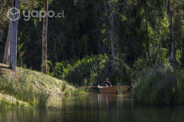 Parcela reserva frutillar con marina y bosque nati - Imagen 5