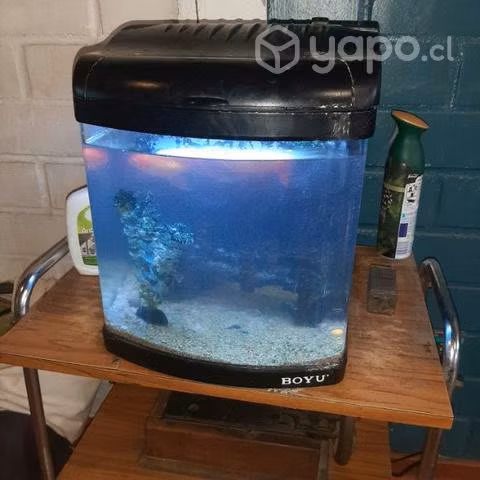 acuario marca boyu