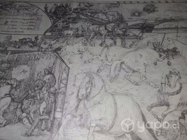 Los animales de la hacienda viloco
