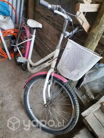 Bicicleta aro 24