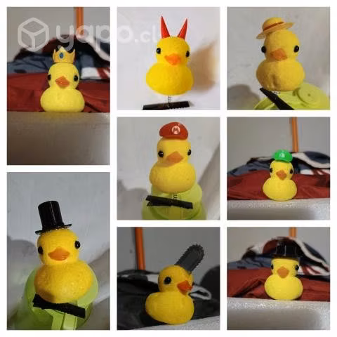 Patitos pinches