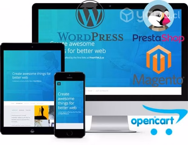 Página Web E-Commerce Pagos Online