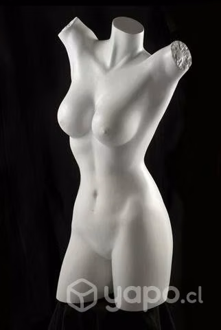 Maniquie usado