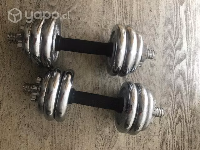 Mancuernas de 10 kg cada una