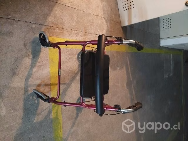 Silla ruedas carrito - Imagen 3