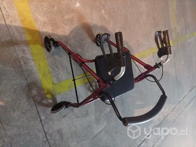 Silla ruedas carrito - Imagen 4