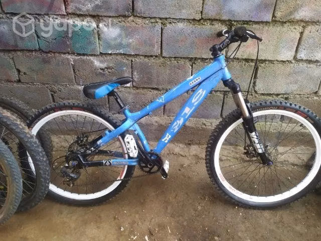 Bicicleta ozono