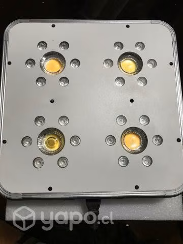 Led Titan COB 4