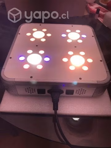 Led Titan COB 4