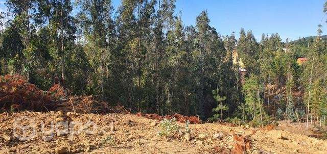 Terreno en bucalemu - Imagen 2