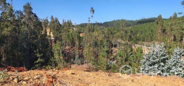 Terreno en bucalemu - Imagen 4