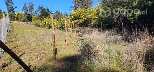 Terreno en bucalemu