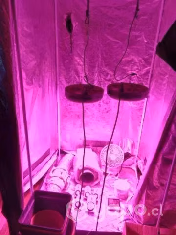 Indoor