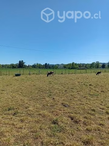 Vendo Hermosa parcela con proyecto de casa