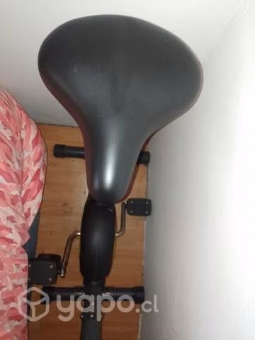 Bicicleta Estática Básica